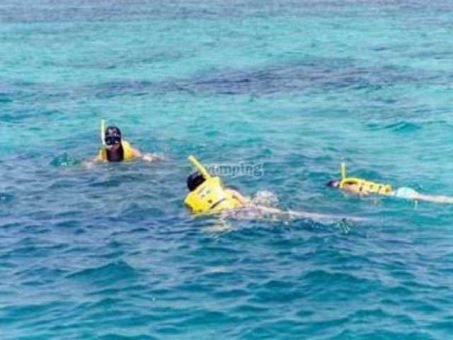 snorkel cancun.jpg